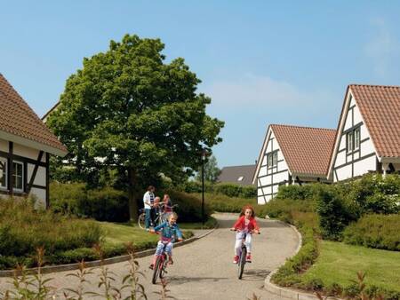 Vakantiehuizen op vakantiepark Landal Kasteeldomein De Cauberg