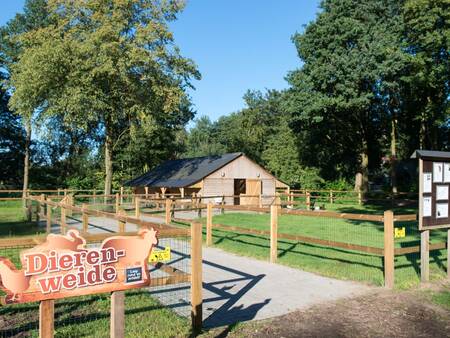 Vakantiepark Landal Landgoed De Elsgraven beschikt over een dierenweide