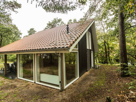 Vakantiehuis met grote glazen pui in het bos op vakantiepark Landal Miggelenberg