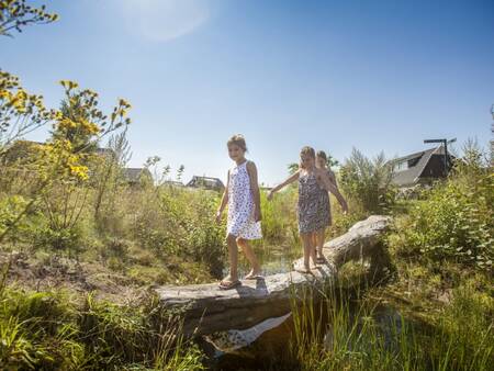 Kinderen lopen op het natuurbelevingspad op vakantiepark Landal Orveltermarke