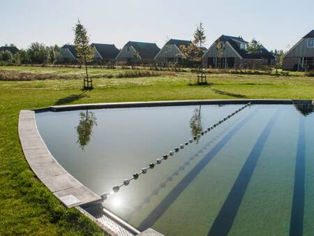 Het natuurzwembad op Landal Orveltermarke is een buitenbad dat natuurlijk gefilterd wordt