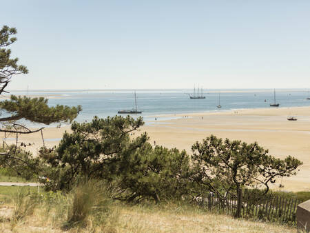 Geniet van de duiten en het strand van Terschelling op vakantiepark Landal Schuttersbos