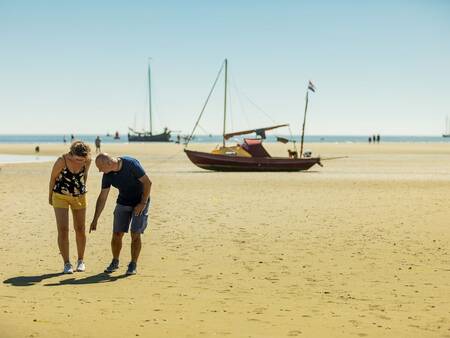 Landal Schuttersbos - strand van Terschelling