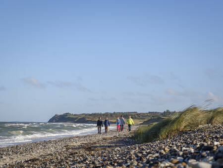 Wandelen op het strand van het Limfjord nabij Landal Vakantiepark Rønbjerg