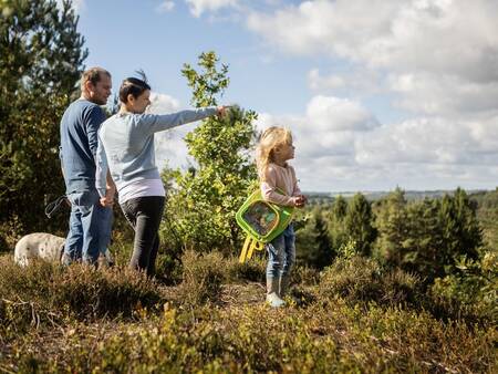 Landal Vakantiepark Søhøjlandet - Merenhoogland in Denemarken