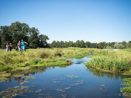 Omgeving van vakantiepark Landal Waterpark De Alde Feanen