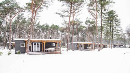 Winterfoto van chalets in de sneeuw op vakantiepark Molecaten Park De Koerberg