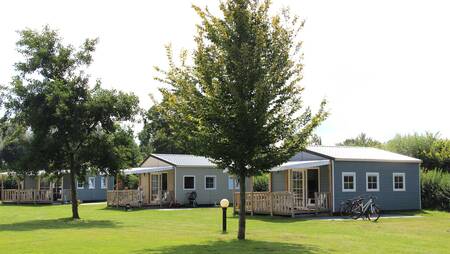 Chalets met overdekte veranda van het type "Karekiet" op vakantiepark Molecaten Park Flevostrand