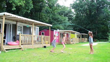 Kleurrijke chalets van het type "Lupine" op vakantiepark Molecaten Park Landgoed Ginkelduin