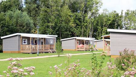 Chalets van het type "Pimpernel" aan een laantje op vakantiepark Molecaten Park Rondeweibos