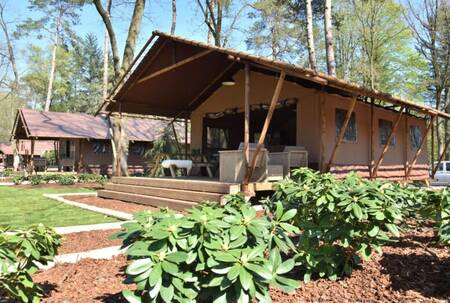 Glamping tenten in het bos op vakantiepark Ommerland