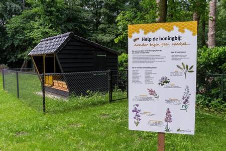 Bijenkasten vlakbij vakantiepark Park Berkenrhode