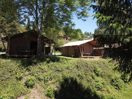 Safaritenten tussen de bomen op vakantiepark Petite Suisse in het hart van de Belgische Ardennen