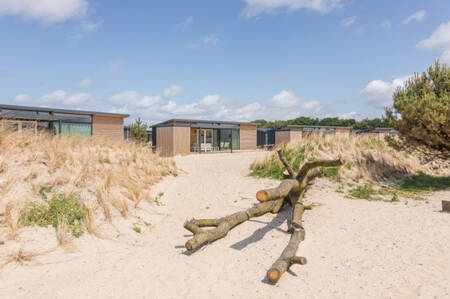 Vakantiehuizen tussen de duinen op vakantiepark Roompot Ameland