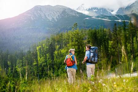 Roompot Bergresort Winterberg ligt in een prachtige bergachtige en bosrijke omgeving