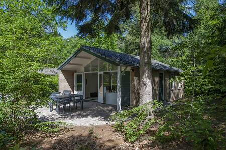 Een vakantiehuis tussen de bomen op vakantiepark Roompot Bospark de Schaapskooi