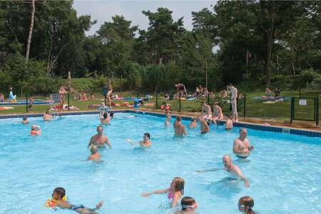 Mensen zwemmen in het buitenbad van vakantiepark Roompot De Katjeskelder