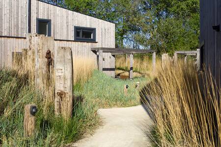 Een Duinlodge tussen het helmgras op vakantiepark Roompot Noordzee Resort Vlissingen