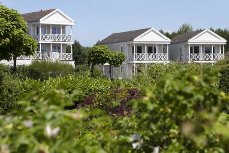 Prachtige vakantiehuizen op vakantiepark Roompot Noordzee Résidence De Banjaard