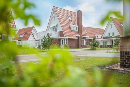 Roompot Noordzee Résidence Dishoek is een kleinschalig en intiem villapark