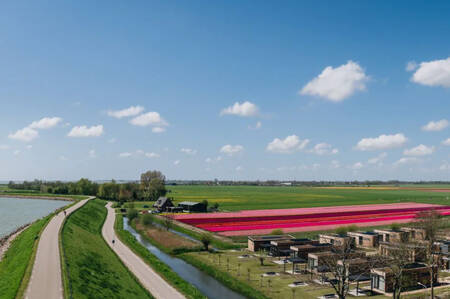 Vakantiepark Roompot Park Wijdenes met tulpenvelden en het Markermeer