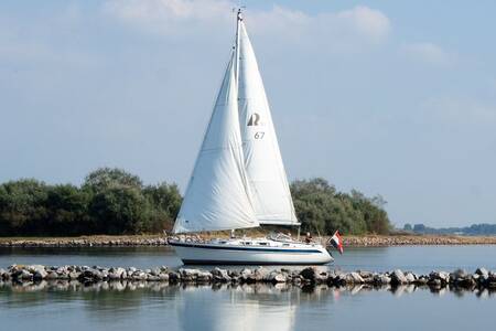 Zeilboot op het Grevelingenmeer vlakbij vakantiepark Roompot Park Zeedijk