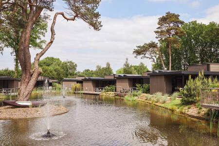 Vakantiehuizen aan een vijver op vakantiepark Soof Retreats Soof Heuvelrug