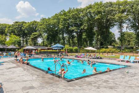 Mensen aan het zwemmen in het buitenbad van vakantiepark Topparken Landgoed de Scheleberg