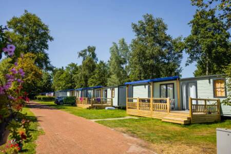 Lodges aan een laantje op vakantiepark Bergumermeer