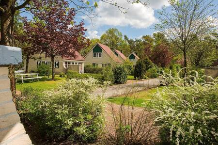 Vakantiehuizen in het groen op vakantiepark Hellendoorn