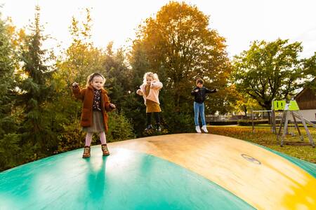 Kinderen springen op de airtrampoline in de speeltuin van vakantiepark Villapark Hof van Salland